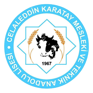 Celaleddin Karatay Mesleki ve Teknik Anadolu Lisesi