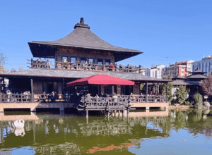 kyoto-japon-parki-rehber Kyoto Japon Parkı