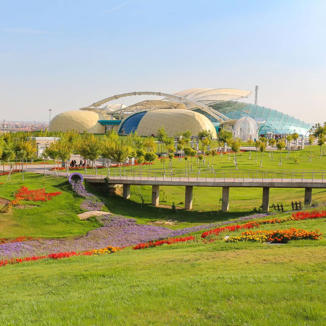 Tropikal Kelebek Bahçesi