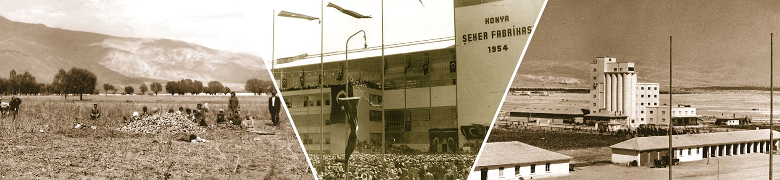 Panagro Tarım Hayvancılık Gıda Sanayi