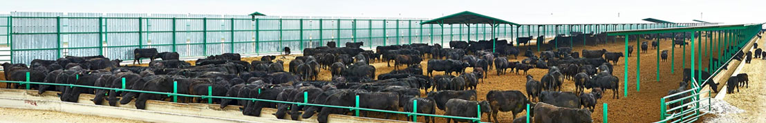 Panagro Tarım Hayvancılık Gıda Sanayi