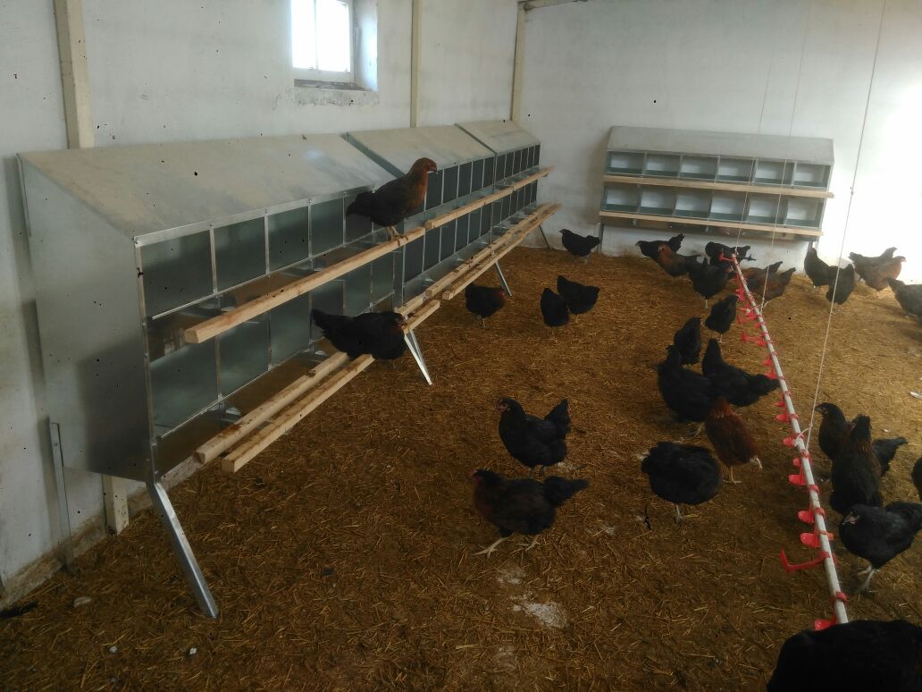Biltek Makina Kuluçka Sistemleri